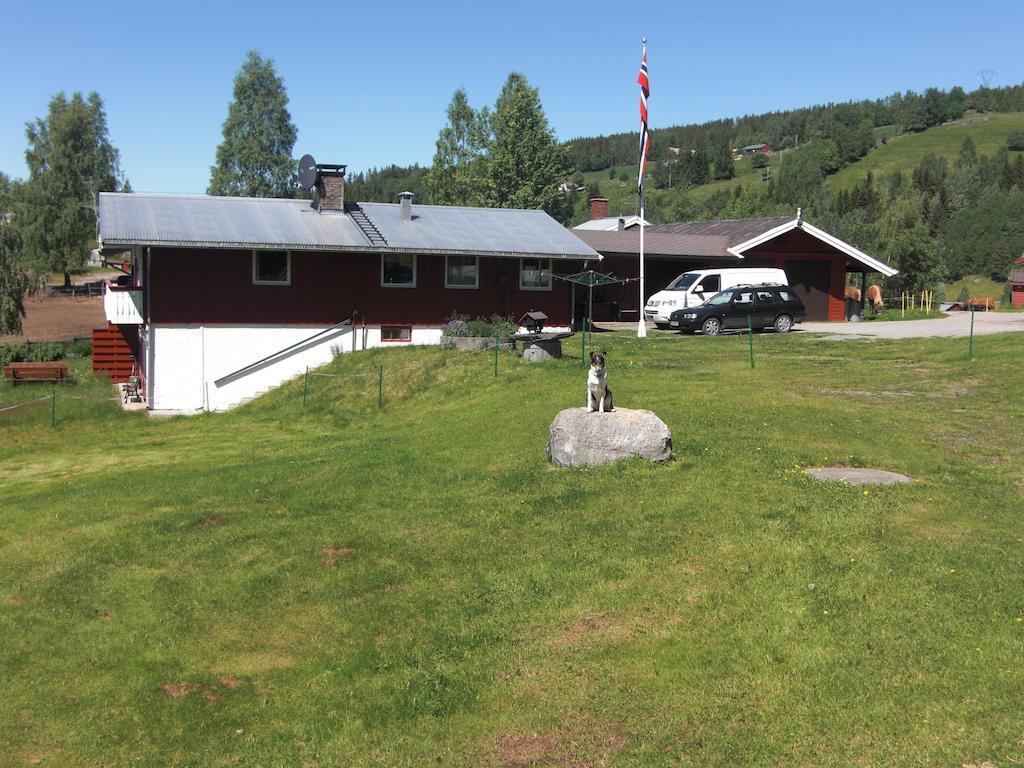 Asgardane Gjestegard Gol Quarto foto